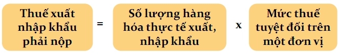 Công Thức Tính Thuế Tuyệt đối